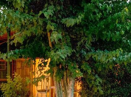 Etenna Bungalow Hotel تورنگار