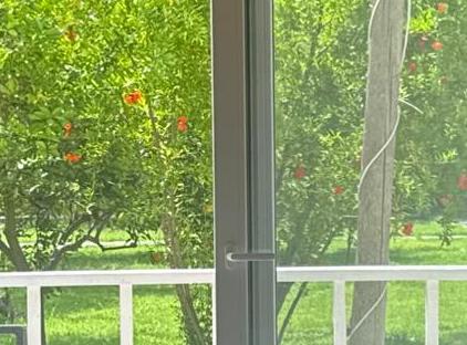 Şeker bungalow تورنگار