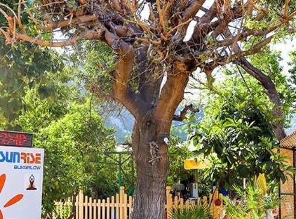 Three Islands Bungalows تورنگار