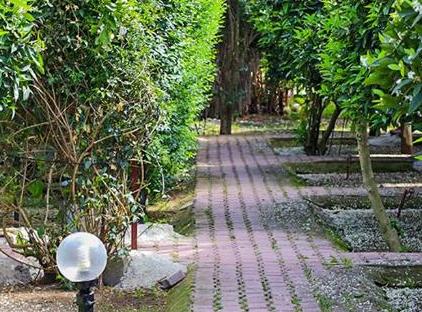Three Islands Bungalows تورنگار