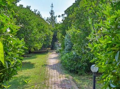 Three Islands Bungalows تورنگار