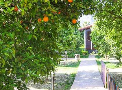 Three Islands Bungalows تورنگار
