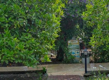 Three Islands Bungalows تورنگار