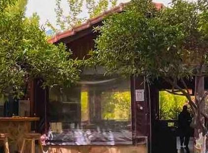 / beachside Cedar house تورنگار