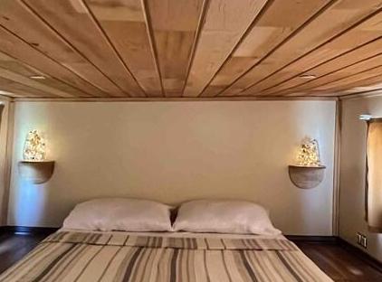 / beachside Cedar house تورنگار