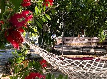 / beachside Cedar house تورنگار