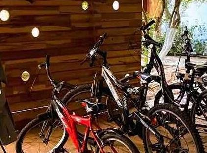 / beachside Cedar house تورنگار