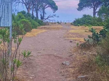 / beachside Cedar house تورنگار