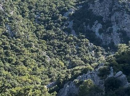 Lycian Valley تورنگار