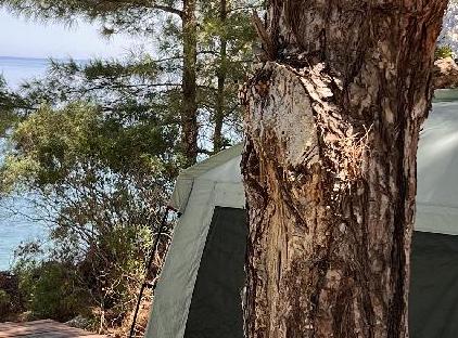 Lycian Valley تورنگار