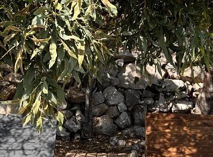 Lycian Valley تورنگار