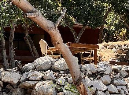 Lycian Valley تورنگار