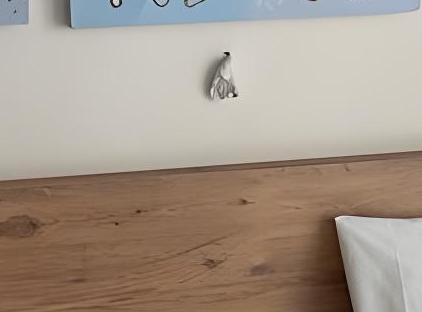 Kemer Comfort Apartment تورنگار