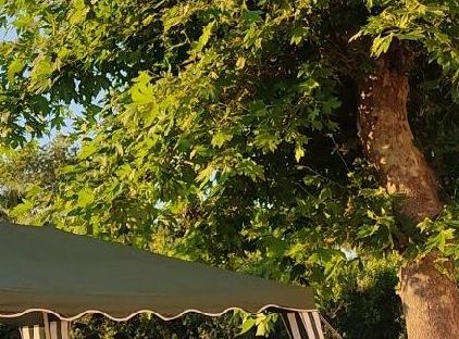 Akdeniz evleri garden floor (alt daire) 2+1 تورنگار