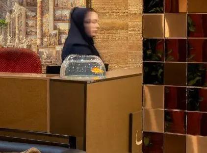 تور شیراز هتل کیوان تورنگار