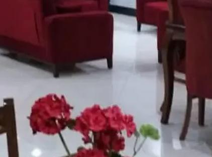 تور شیراز هتل قوام تورنگار