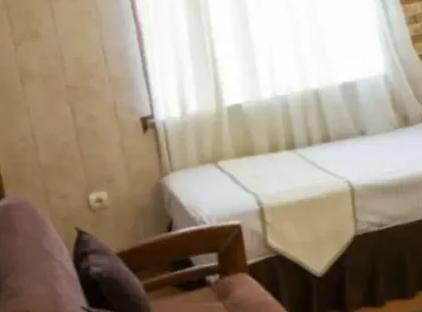 تور تهران هتل مرکزی تورنگار