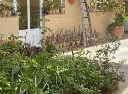 تور شیراز هتل سنتی دشتی تورنگار