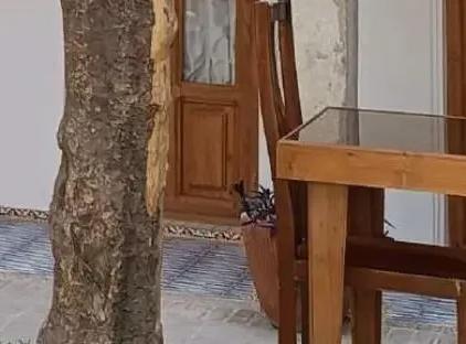 تور شیراز هتل سنتی سرای مهربانو تورنگار
