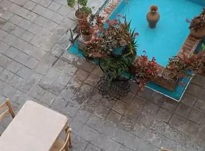 تور شیراز هتل سنتی موتاب تورنگار