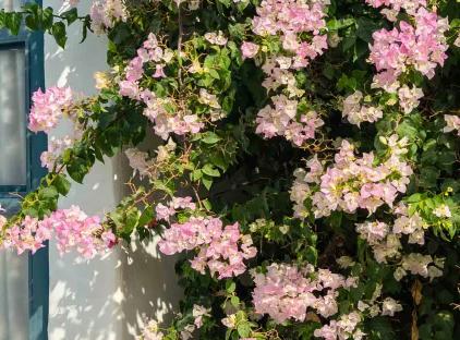 تور قشم اقامتگاه بوم گردی دنسه نوم تورنگار