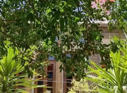 تور شیراز هتل سنتی گل طاها تورنگار