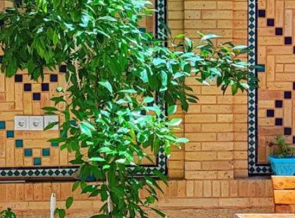 تور شیراز هتل سنتی عطاءالدوله تورنگار