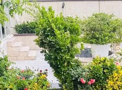 تور تهران هتل رسپینا تورنگار