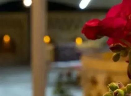 تور شیراز هتل سنتی نارنجستان تورنگار