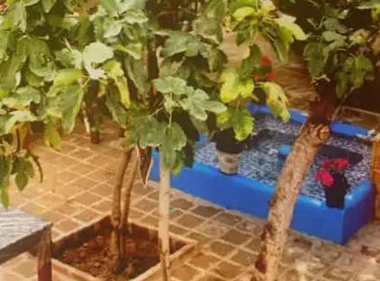 تور اصفهان هتل سنتی طاها تورنگار