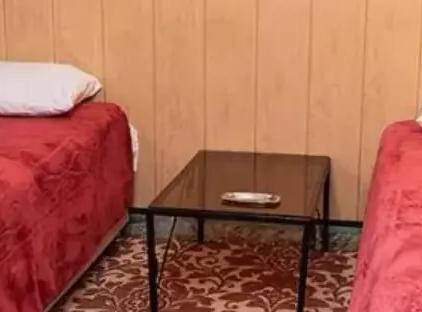 تور تهران هتل پیروز تورنگار
