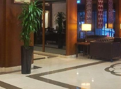تور هتل رادیسون پرزیدنت شهر قدیم استانبول تورنگار