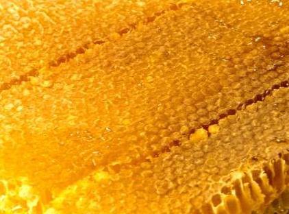 تور هتل رادیسون پرزیدنت شهر قدیم استانبول تورنگار