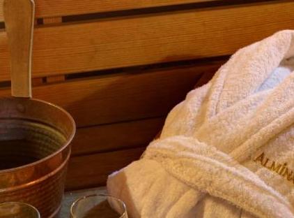 تور هتل آلمینا استانبول تورنگار