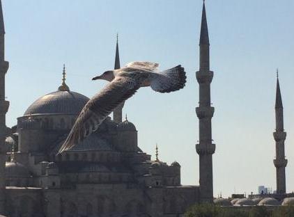 تور هتل کالین استانبول تورنگار