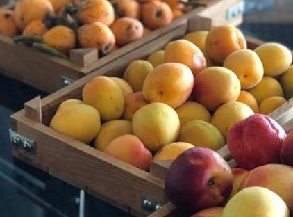 تور هتل کالین استانبول تورنگار