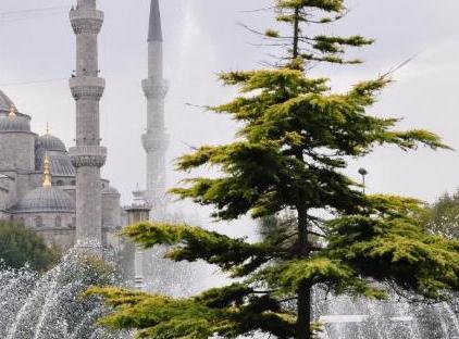 تور هتل می استانبول تورنگار