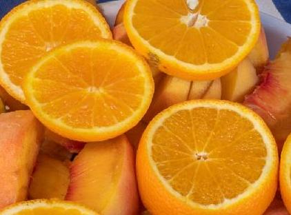 تور هتل آریستوکرات استانبول تورنگار