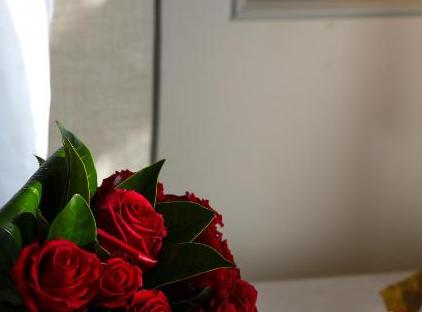 تور هتل شانگری لا بوسفور، استانبول تورنگار