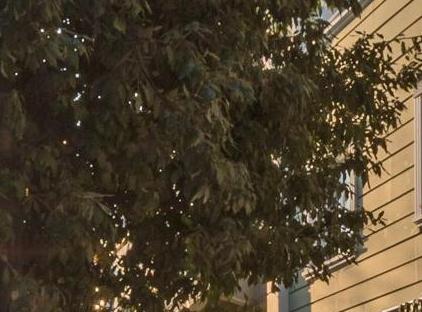 تور هتل تعطیلات استانبول تورنگار