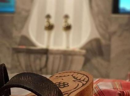 تور هتل و اسپا رادیسون بلو استانبول توزلا تورنگار