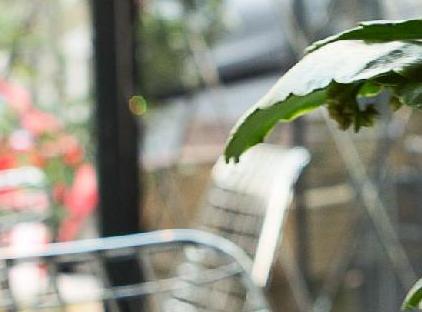 تور هتل مایل نیشانتاشی استانبول تورنگار