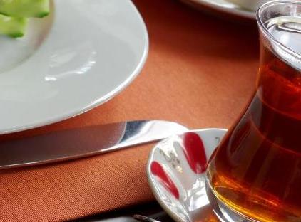 تور هتل پیک استانبول تورنگار