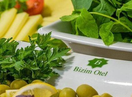 تور بیزیم هتل استانبول تورنگار