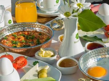 تور بیزیم هتل استانبول تورنگار