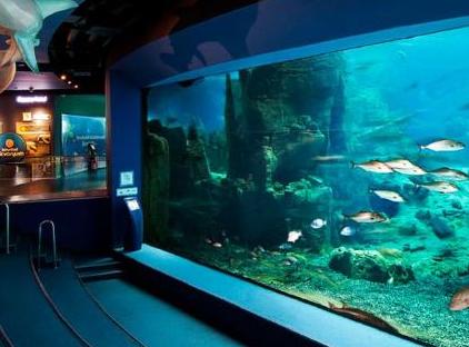 تور هتل کرون پلازا فلوریا استانبول تورنگار