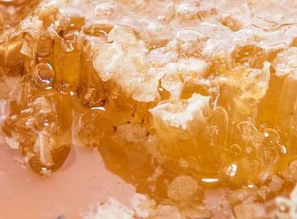 تور هتل پراپولیس استانبول تورنگار