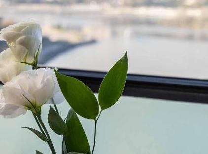 تور هتل کلاریون گلدن هورن استانبول تورنگار