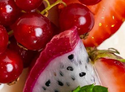 تور هتل فرمونت کواسار استانبول تورنگار