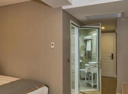 تور هتل هانا استانبول تورنگار